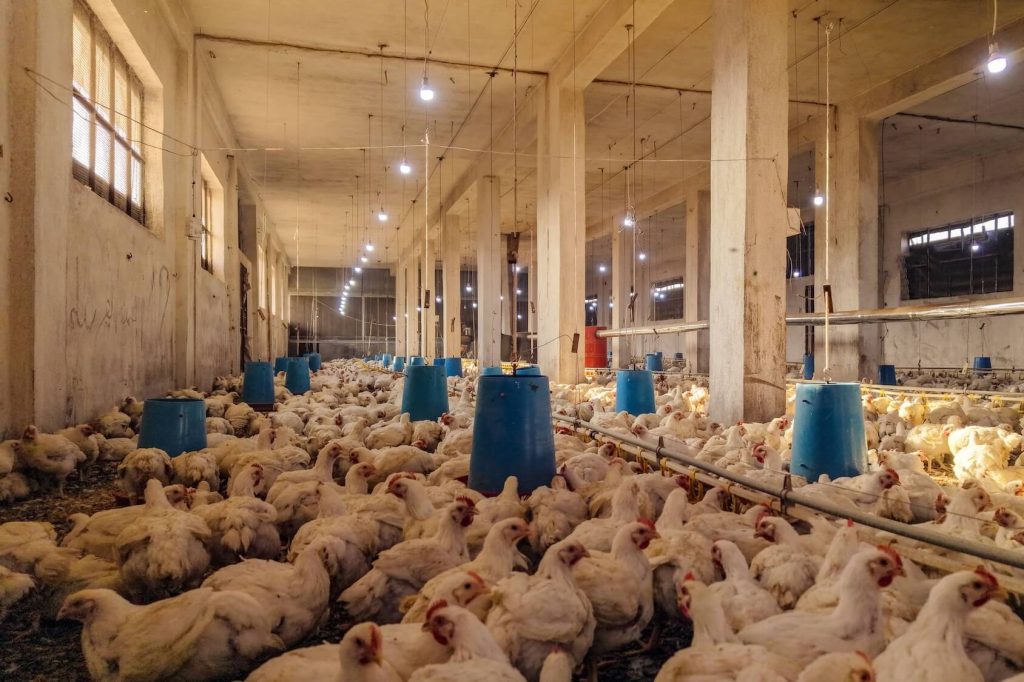 dji 20251129203723 0483 d