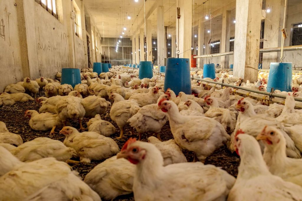 dji 20251129203740 0486 d