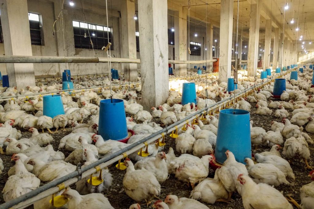 dji 20251129203838 0489 d